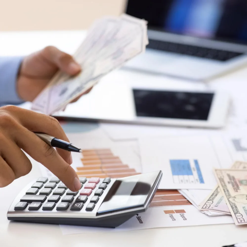 Expense tracking and categorization services reviewing financial transactions and organizing business expenses.