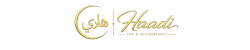 haadi-tax-accountants-logo