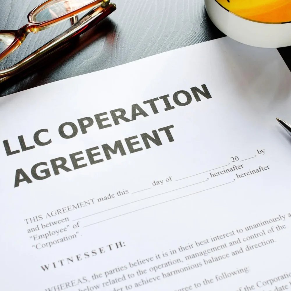 LLC operating agreement setup USA legal business structure documentation